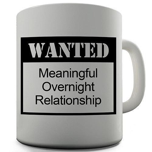 Wanted Meaningful Overnight Relationship Funny Mug