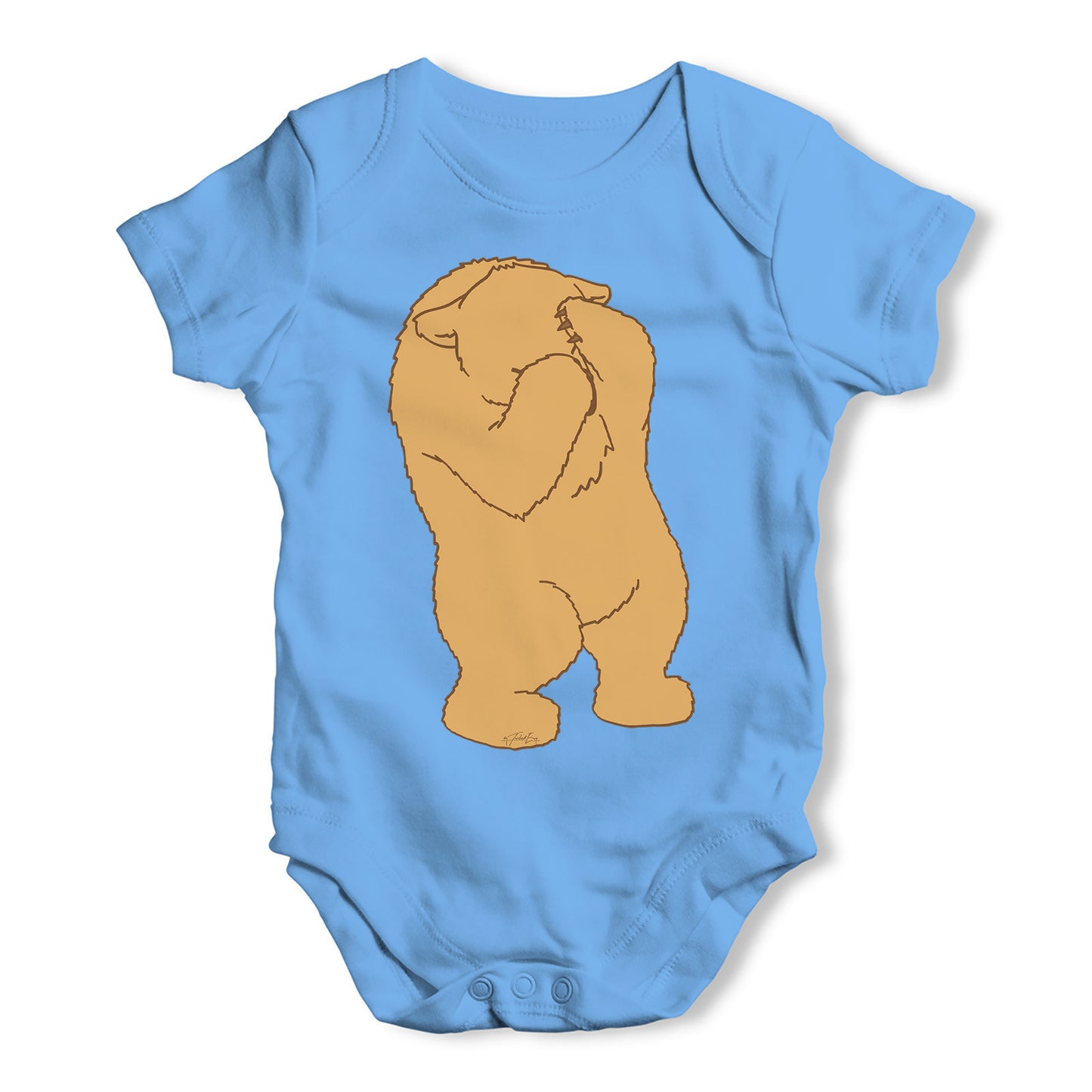 Peek A Boo Silly Bear Baby Grow Bodysuit