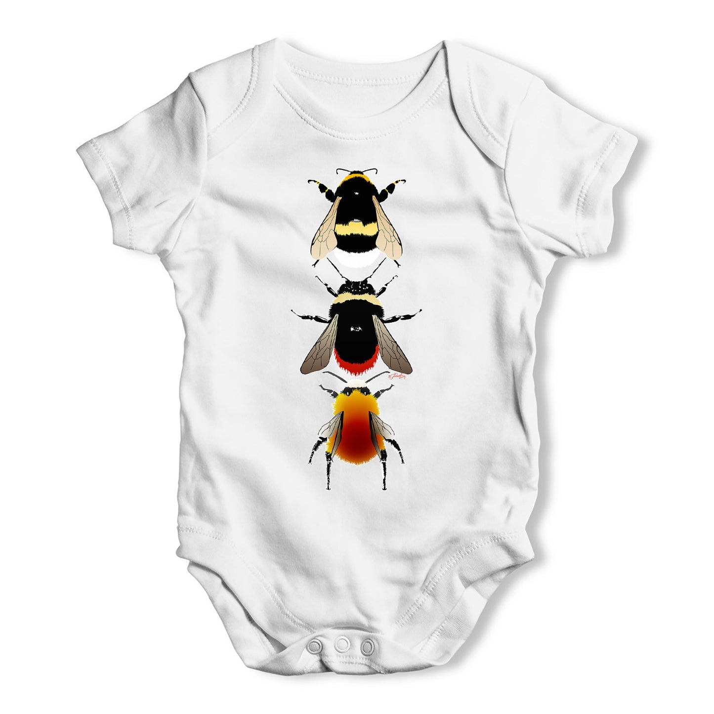 Species Of Bees Baby Grow Bodysuit