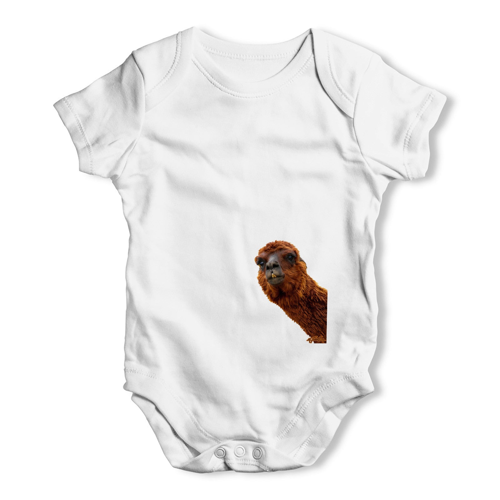 Hairy Camel Baby Grow Bodysuit