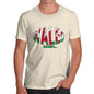 Men's Wales Rugby Ball Flag T-Shirt