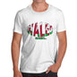 Men's Wales Rugby Ball Flag T-Shirt