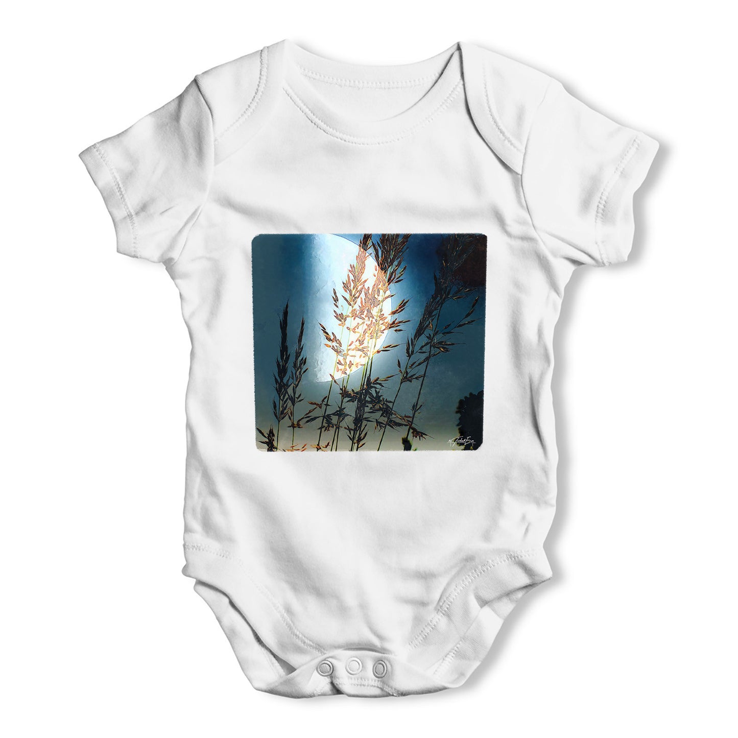 Reeds In The Moonlight Baby Grow Bodysuit