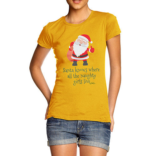 Women's Santa Knows Where All The Naughty Girls Live T-Shirt