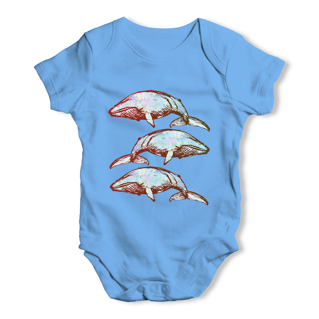 Blue Whales Baby Grow Bodysuit