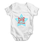 Big Brother Star Sibling Baby Grow Bodysuit