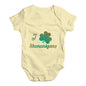 Funny Baby Clothes I Love Shamrock Shenanigans Irish Green Baby Unisex Baby Grow Bodysuit 0-3 Months Lemon