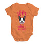 My Big Sister Is A French Bulldog Baby Unisex Baby Grow Bodysuit