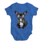 Smart Frenchie Baby Unisex Baby Grow Bodysuit