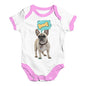 Baby Boy Clothes Frenchie Speech Bubble Baby Unisex Baby Grow Bodysuit New Born White Pink Trim