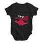 Big Sistersaurus Baby Unisex Baby Grow Bodysuit