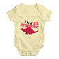 Big Sistersaurus Baby Unisex Baby Grow Bodysuit