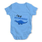 Little Brothersaurus Baby Unisex Baby Grow Bodysuit