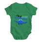 Little Brothersaurus Baby Unisex Baby Grow Bodysuit