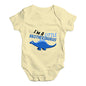 Little Brothersaurus Baby Unisex Baby Grow Bodysuit