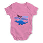 Little Brothersaurus Baby Unisex Baby Grow Bodysuit