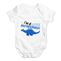 Little Brothersaurus Baby Unisex Baby Grow Bodysuit