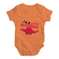 Little Sistersaurus Baby Unisex Baby Grow Bodysuit