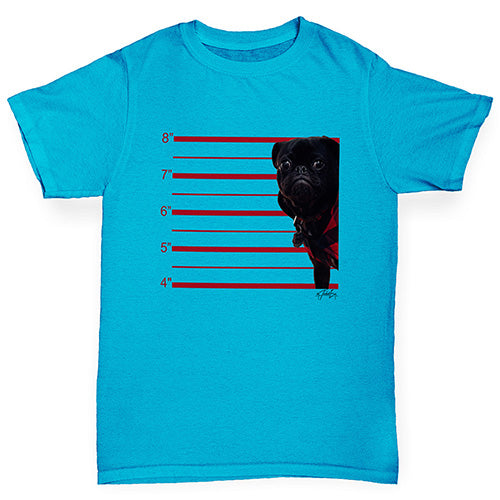 Boys novelty t shirts Black Pug Mugshot Boy's T-Shirt Age 12-14 Azure Blue