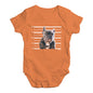 Staffordshire Bull Terrier Mugshot Baby Unisex Baby Grow Bodysuit