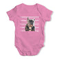 Staffordshire Bull Terrier Mugshot Baby Unisex Baby Grow Bodysuit