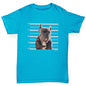 Boys Funny T Shirt Staffordshire Bull Terrier Mugshot Boy's T-Shirt Age 12-14 Azure Blue