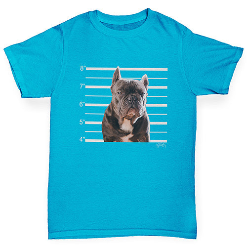 Boys Funny T Shirt Staffordshire Bull Terrier Mugshot Boy's T-Shirt Age 12-14 Azure Blue