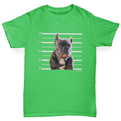 Boys Funny Tshirts Staffordshire Bull Terrier Mugshot Boy's T-Shirt Age 12-14 Green