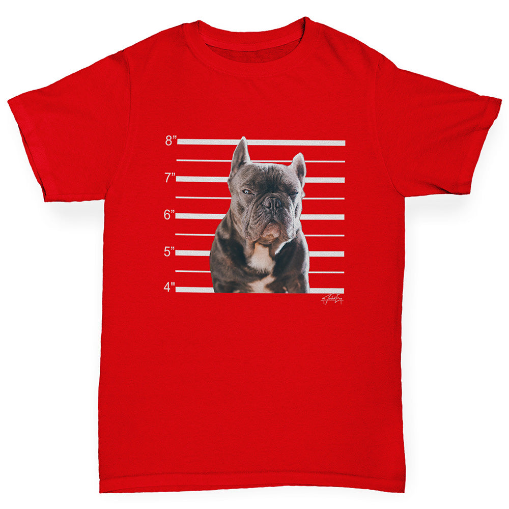 Boys funny tee shirts Staffordshire Bull Terrier Mugshot Boy's T-Shirt Age 7-8 Red