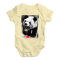 Angry Rainbow Panda Baby Unisex Baby Grow Bodysuit