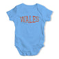 Wales College Grunge Baby Unisex Baby Grow Bodysuit