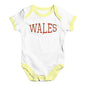 Wales College Grunge Baby Unisex Baby Grow Bodysuit