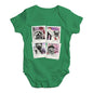 Dogs On Holiday Baby Unisex Baby Grow Bodysuit