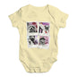 Dogs On Holiday Baby Unisex Baby Grow Bodysuit