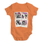 Dogs On Holiday Baby Unisex Baby Grow Bodysuit