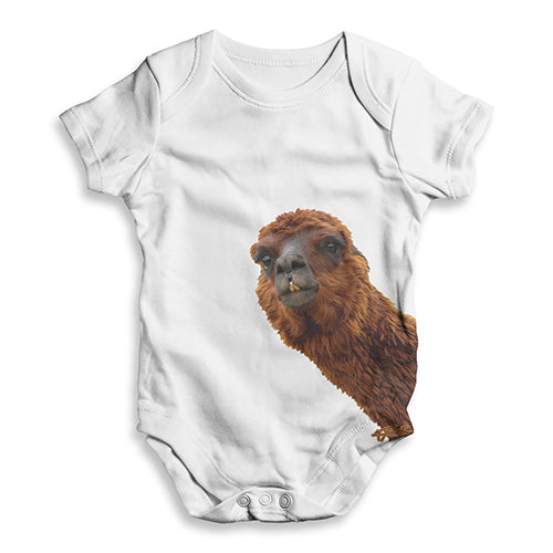 Hairy Camel Baby Unisex ALL-OVER PRINT Baby Grow Bodysuit