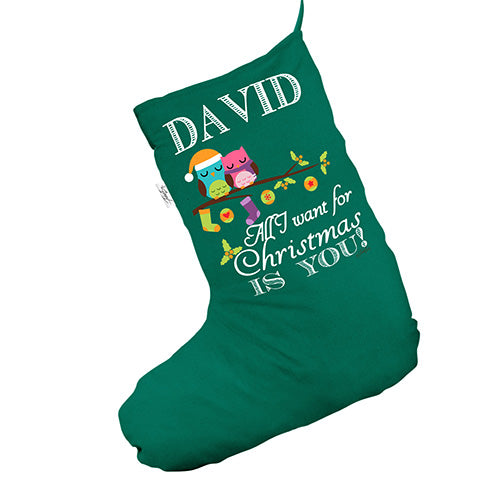 Personalised Birds Mistletoe Green Santa Claus Christmas Stockings