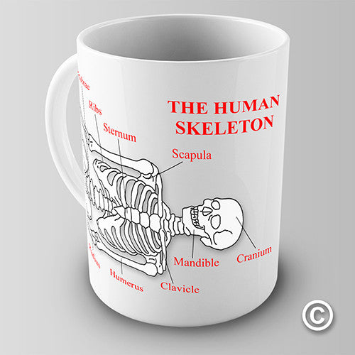The Human Skeleton Novelty Mug