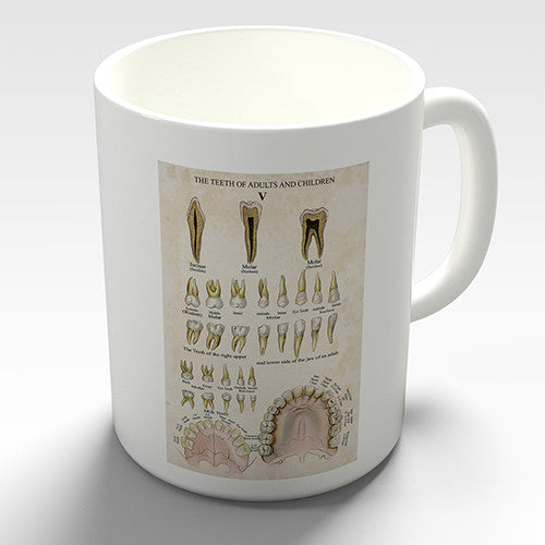 Teeth Of Adults And Children Novelty Mug