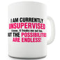 I Am Currently Unsupervised Novelty Mug