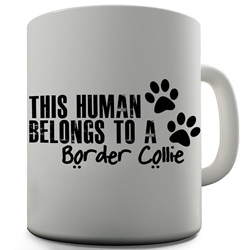 This Human Belongs To A Border Collie Novelty Mug