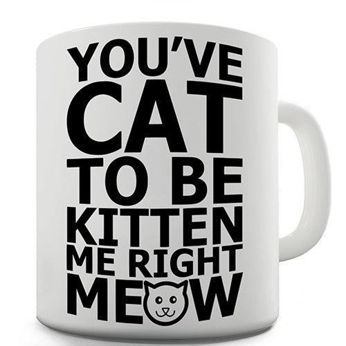 You've Cat To Be Kitten Me Novelty Mug