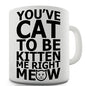 You've Cat To Be Kitten Me Novelty Mug