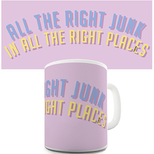 All The Right Junk In The Right Places Novelty Mug