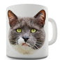 Annoyed Cat Face Novelty Mug