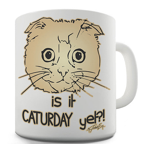 Is It Caturday Yet Novelty Mug