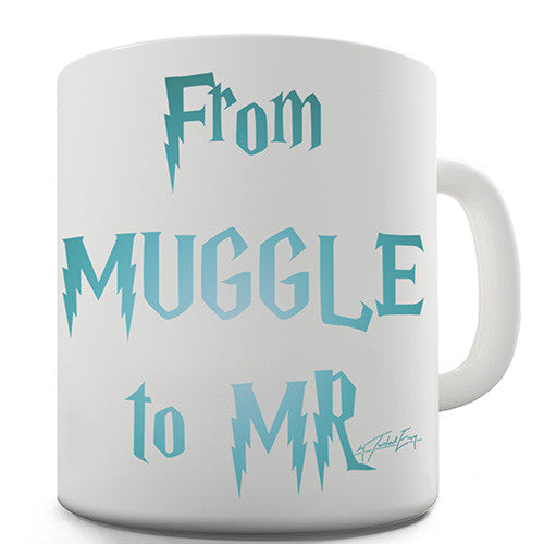 From Muggle To Mr Novelty Mug