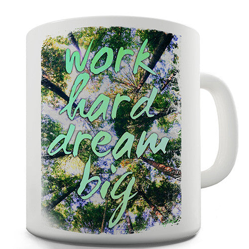 Work Hard Dream Big Novelty Mug