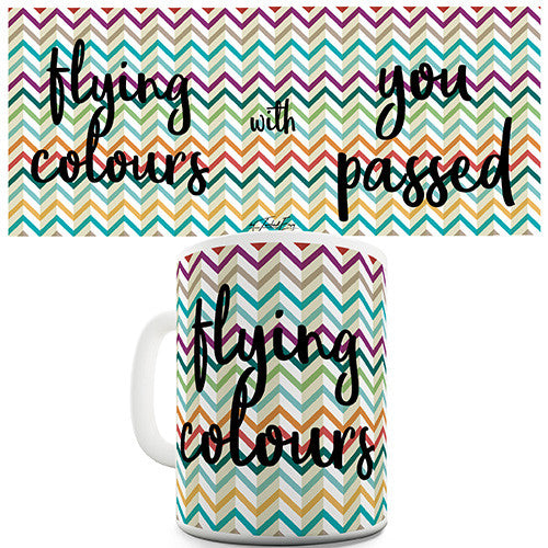 You Passed With Flying Colours Funny Mug