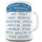 Reasons To Be A Teenager Funny Mug